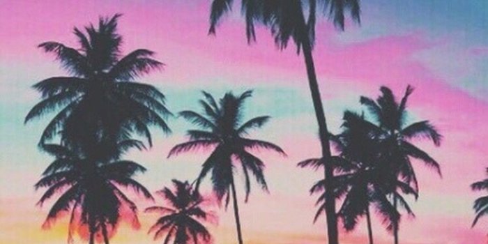 750x1334 45+ Palm Tree iPhone Wallpapers - Download at WallpaperBro