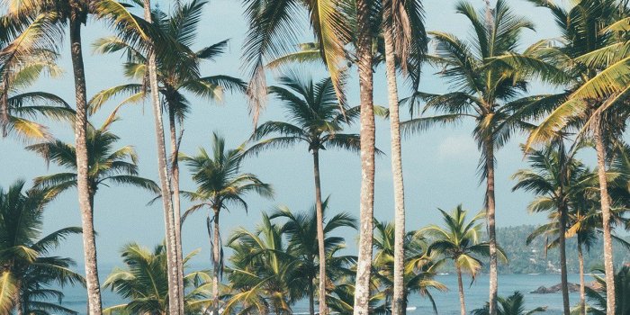 1242x2208 iPhone6papers.com | iPhone 6 wallpaper | ob40-summer-vacation-man