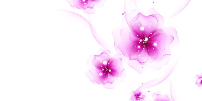 1920x1200 Pink and White wallpaper | 1920x1200 | #57686