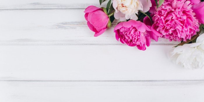 1332x850 Wallpaper flowers, pink, white, white, wood, pink, flowers, peonies