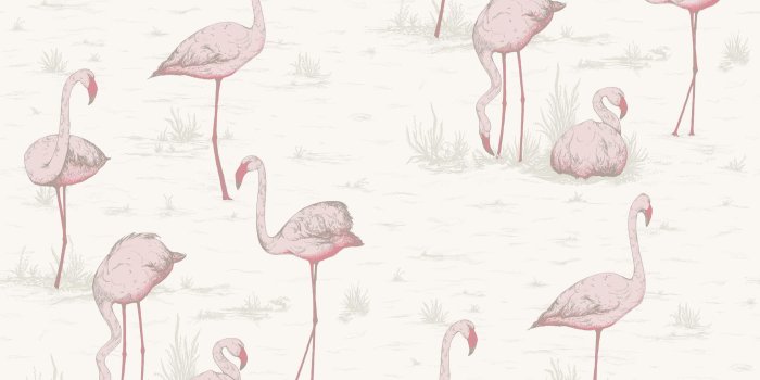 2165x1430 Flamingos Wallpaper 95/8045 by Cole & Son