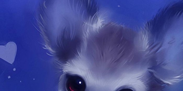720x1280 Chihuahua Dog Little Cute Puppy HD Wallpaper Lock for Android - APK