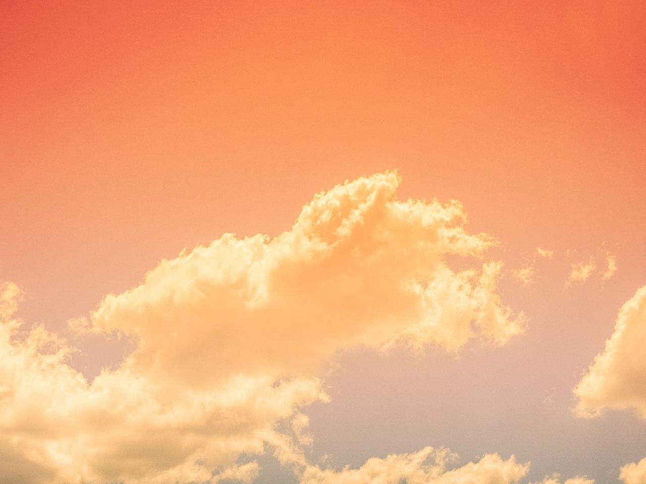 1280x960 pastel orange tumblr - Google Search on We Heart It