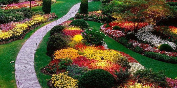 1024x768 Flower Garden Wallpapers