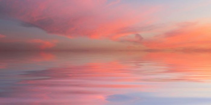 736x1308 27 Super Pretty iPhone 8 Plus Wallpapers | Preppy Wallpapers