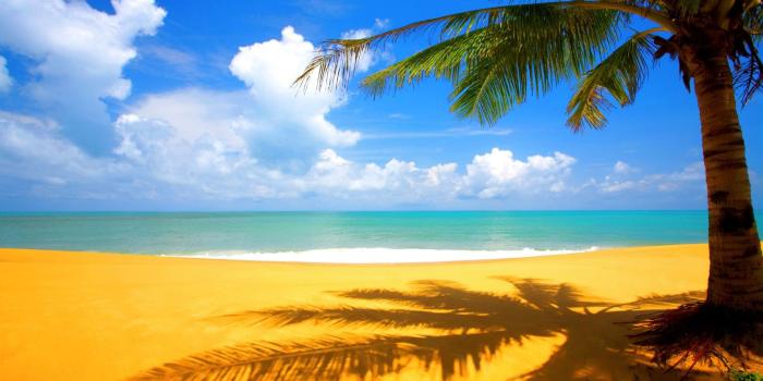 1920x1200 75+] Hd Beach Desktop Backgrounds on WallpaperSafari