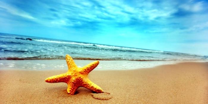 1166x706 Beach Desktop Background Star Full Wallpapers Hd | Wallpapers Colorful