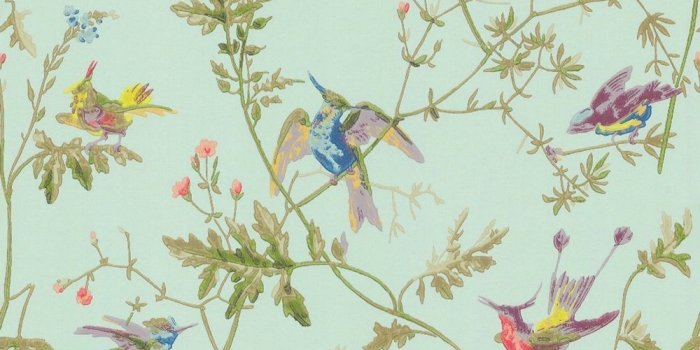 1000x1048 Anti Bird Spray HD Wallpaper Free Download Anti Bird Spray HD | 패턴