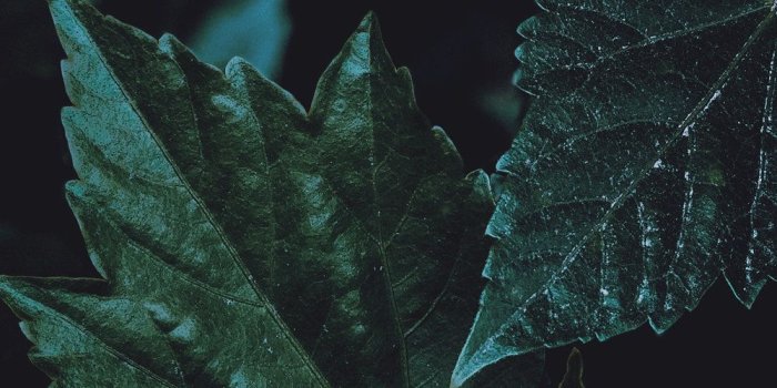 1000x1778 iPhonaddict — The TEKSide Network