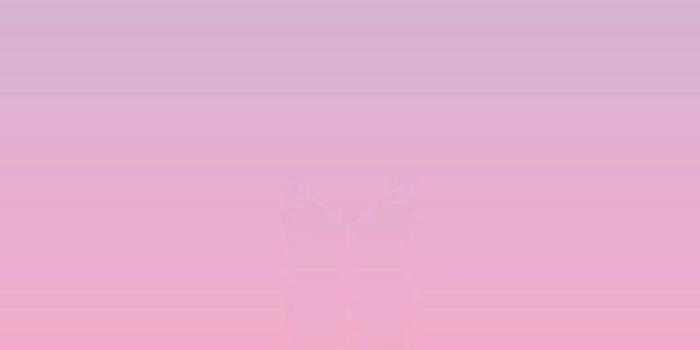 720x1280 BTS Love Yourself: Answer Wallpapers