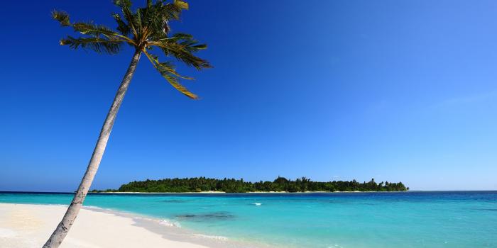 2560x1600 Beach Desktop Wallpaper (50+ images) on Genchi.info