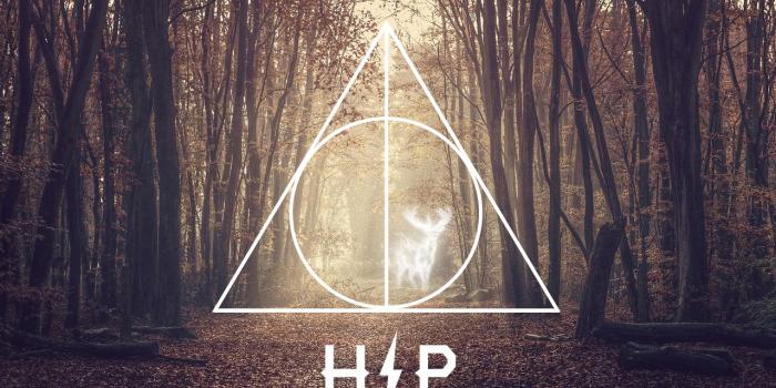 1280x852 47+] Cute Harry Potter Wallpaper on WallpaperSafari