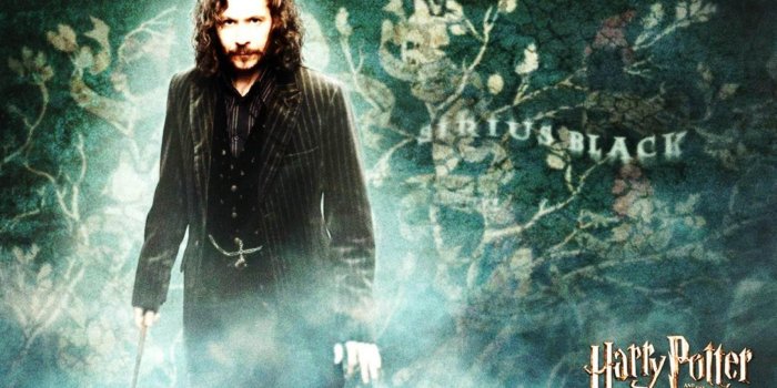 1600x900 Sirius Black Wallpaper - Harry Potter Wallpaper 1920x1080 Sirius
