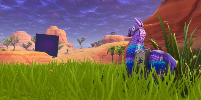 1920x1080 Fortnite Lama Wallpapers - Top Free Fortnite Lama Backgrounds