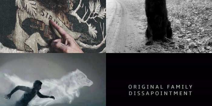1472x2208 The marauders sirius black Harry Potter Sirius black The