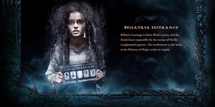 1050x800 Harry potter sirius black hd wallpaper download | Harry Potter