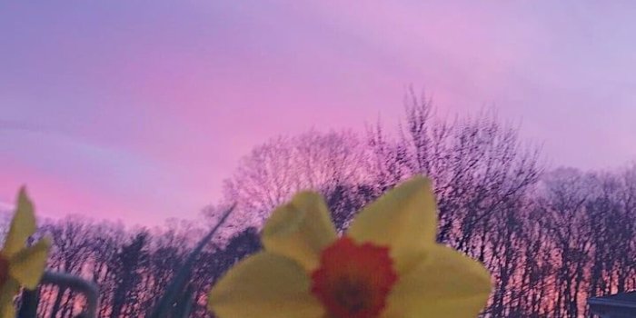 719x1280 Image about grunge in w a l l p a p e r s by mal