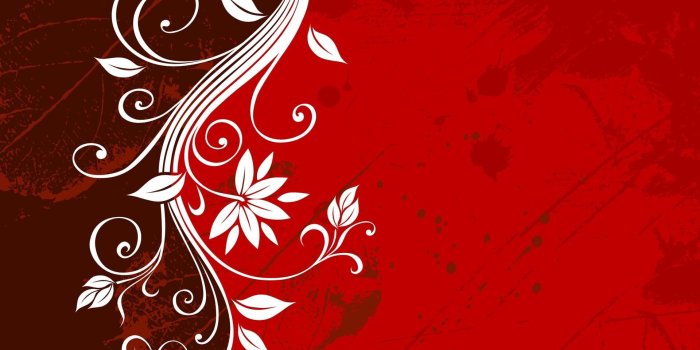 1920x1080 White floral on red background wallpaper HD wallpaper | Wallpaper Flare