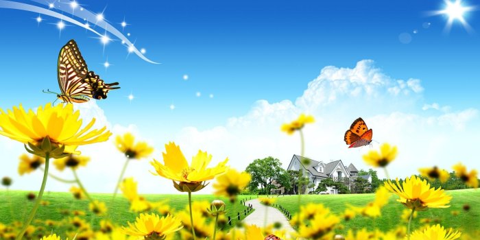 1920x1200 HD wallpaper: sunflowers and butterflies illustration, house, lawn