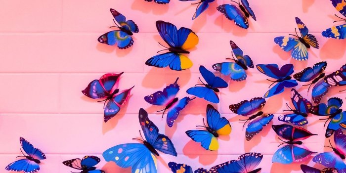 1350x2400 Sunflower Iphone Wallpaper, Pink Wallpaper Iphone, - Butterfly