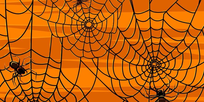 1920x1200 66+ Scary Spider Wallpapers on WallpaperPlay