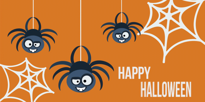 1920x1080 Three hanging cute flat spiders. Happy Halloween invitation card. Template  design. Animation for yours presentation. 4K video clip with alpha matte. 