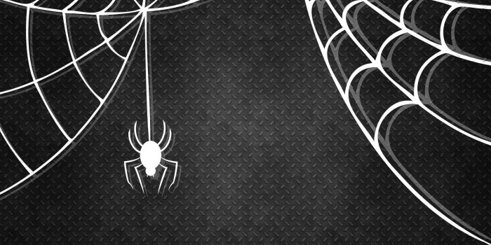 1920x1080 Halloween Spider Web Wallpaper HD 34787 - Baltana