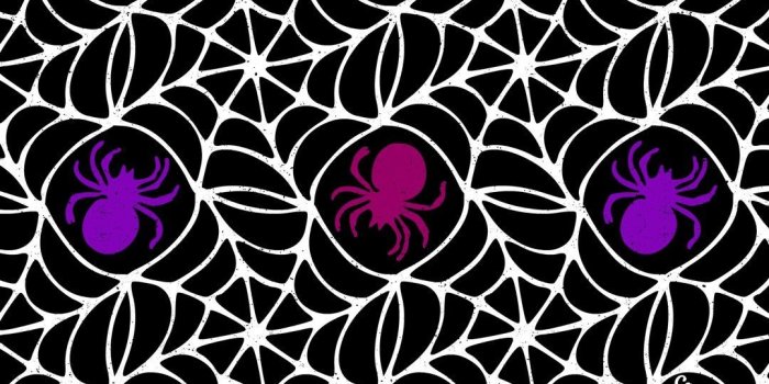 1080x1920 Spider web Halloween repeat pattern surface design art illustration