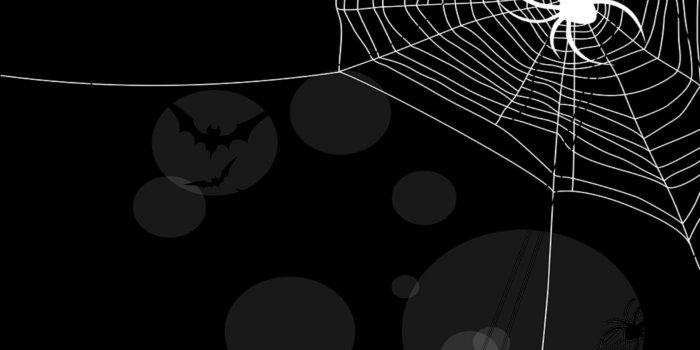 1680x1050 Halloween Background Spider, Spider Web and Bats widescreen