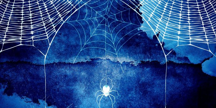 1920x1080 Halloween Spider Web HD Background Wallpaper 34782 - Baltana