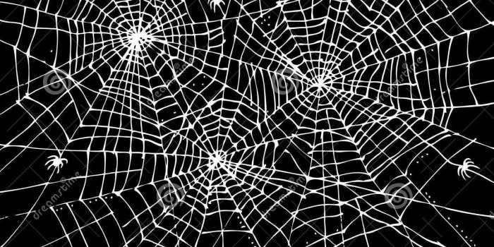 1300x1162 Halloween web background #halloween #spooky | Halloween | Texture