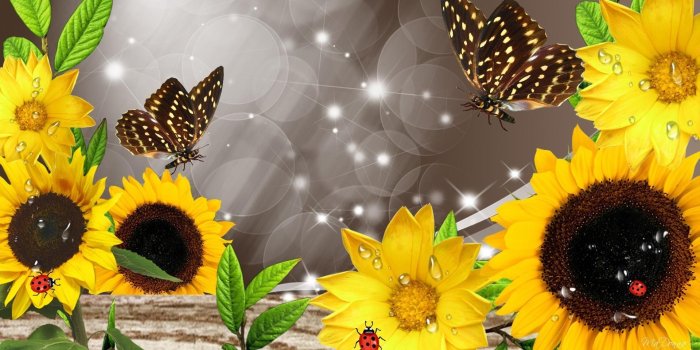 1920x1080 Sunflowers and Butterflies | Download Sunflowers and butterflies