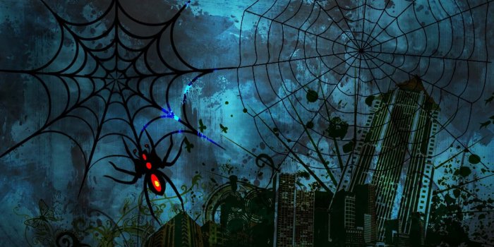1920x1080 Halloween Spider Web Wallpaper 34788 - Baltana