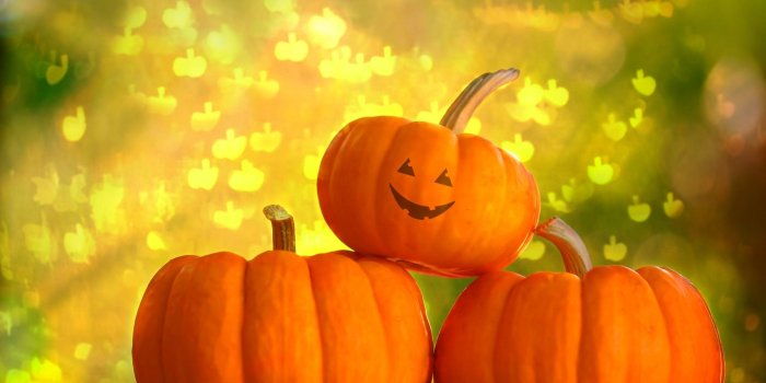 1920x1200 Cute Pumpkins Wallpapers