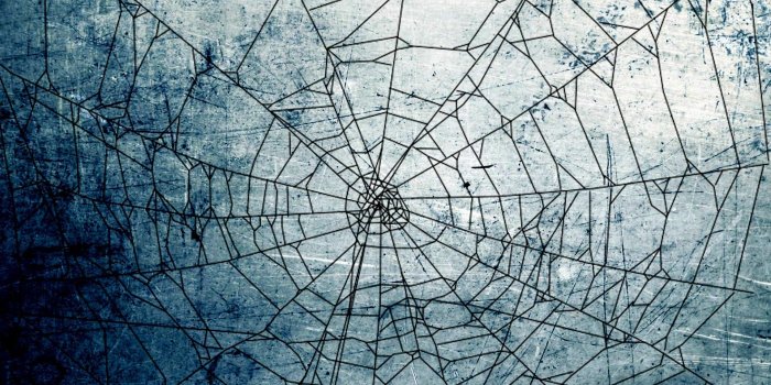 1920x1080 Halloween Spider Web Background Hd Wallpapers 34774 Baltana Cute Cat