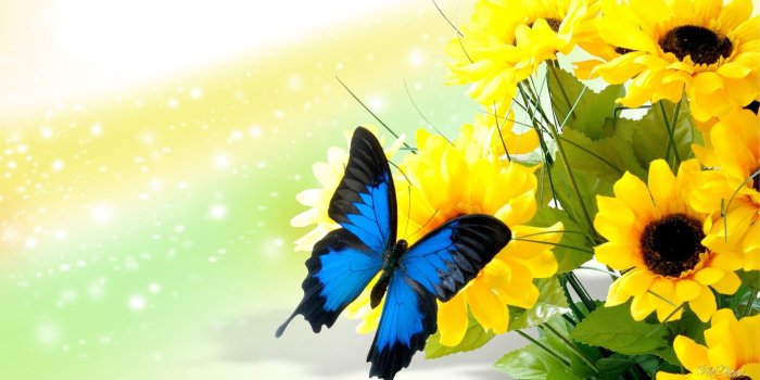 1920x1080 Flower: Sunflowers Butterfly Autumn Flowers Bokeh Abstract Summer