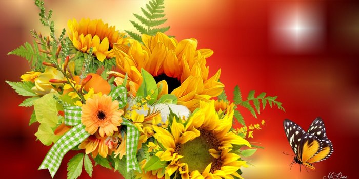1920x1080 Flower: Feather Autumn Gingham Lights Orange Yellow Butterflies