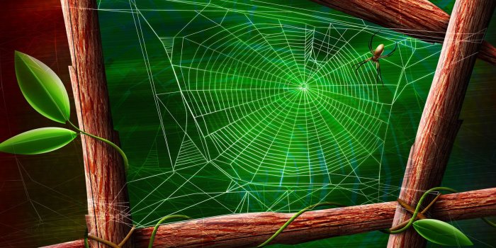 1920x1200 Spider Wallpapers | Best Wallpapers