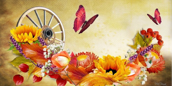 1920x1080 58+ Fall Flowers Wallpapers on WallpaperPlay