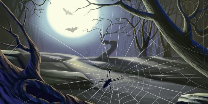 1600x1000 44+] Moving Spider Wallpaper on WallpaperSafari