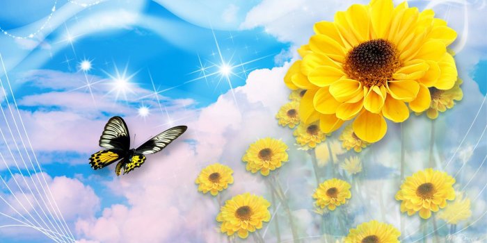 3840x2160 Digital wallpaper - butterfly and sunflowers