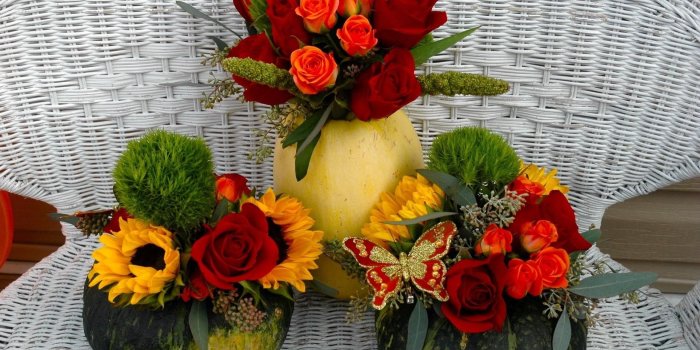 1925x1260 3339761 Roses, Sunflowers, Flowers, Pumpkins, Song, Butterfly