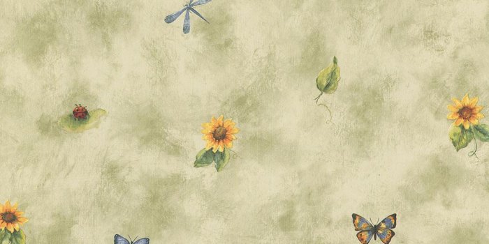 1000x1000 Sunflower Spot Wallpaper