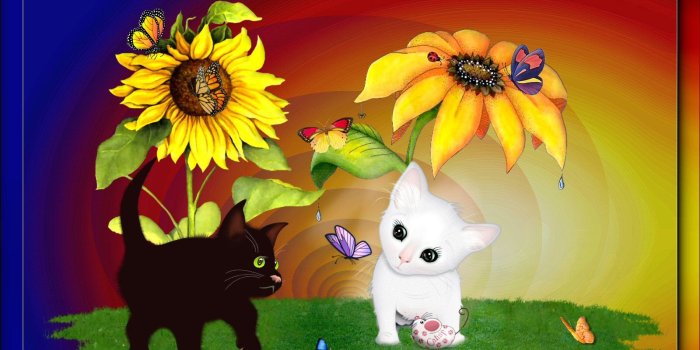 1600x1200 Cats: Hiding Sunflowers Butterflies Animals Butterfly Flowers Kitten