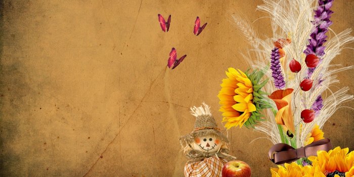 1920x1080 Flowers: Wheat Sunflower Butterflies Apple Bouquet Parchment Fall