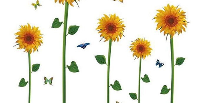 1010x1010 fashionbeautybuy Sunflowers Butterflies English Letter Wall Sticker Decal  Home Decor PVC Murals Wallpaper House Art Picture Living Room Adult Senior 