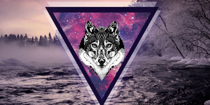 1920x1440 Galaxy Wolf ❤ 4K HD Desktop Wallpaper for 4K Ultra HD TV • Wide