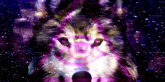 1456x1104 3459 galaxy wolf wallpaper