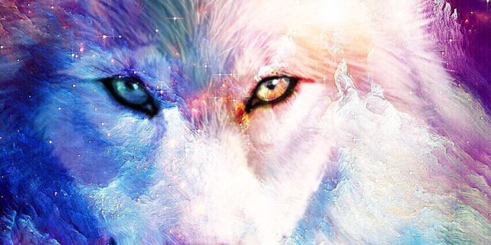 854x1590 cafa7727 hd wallpaper