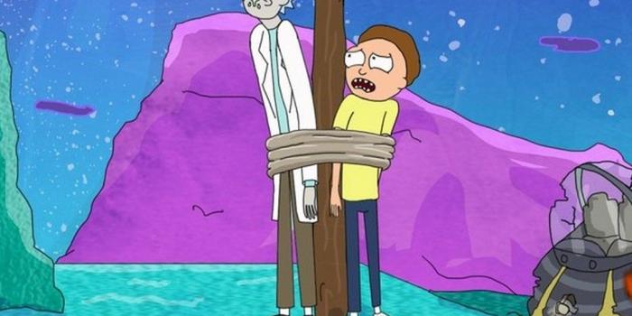 1080x1920 Start Download - Rick And Morty Wallpaper 4k (#24506) - HD Wallpaper